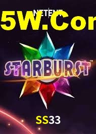 SS33.Com